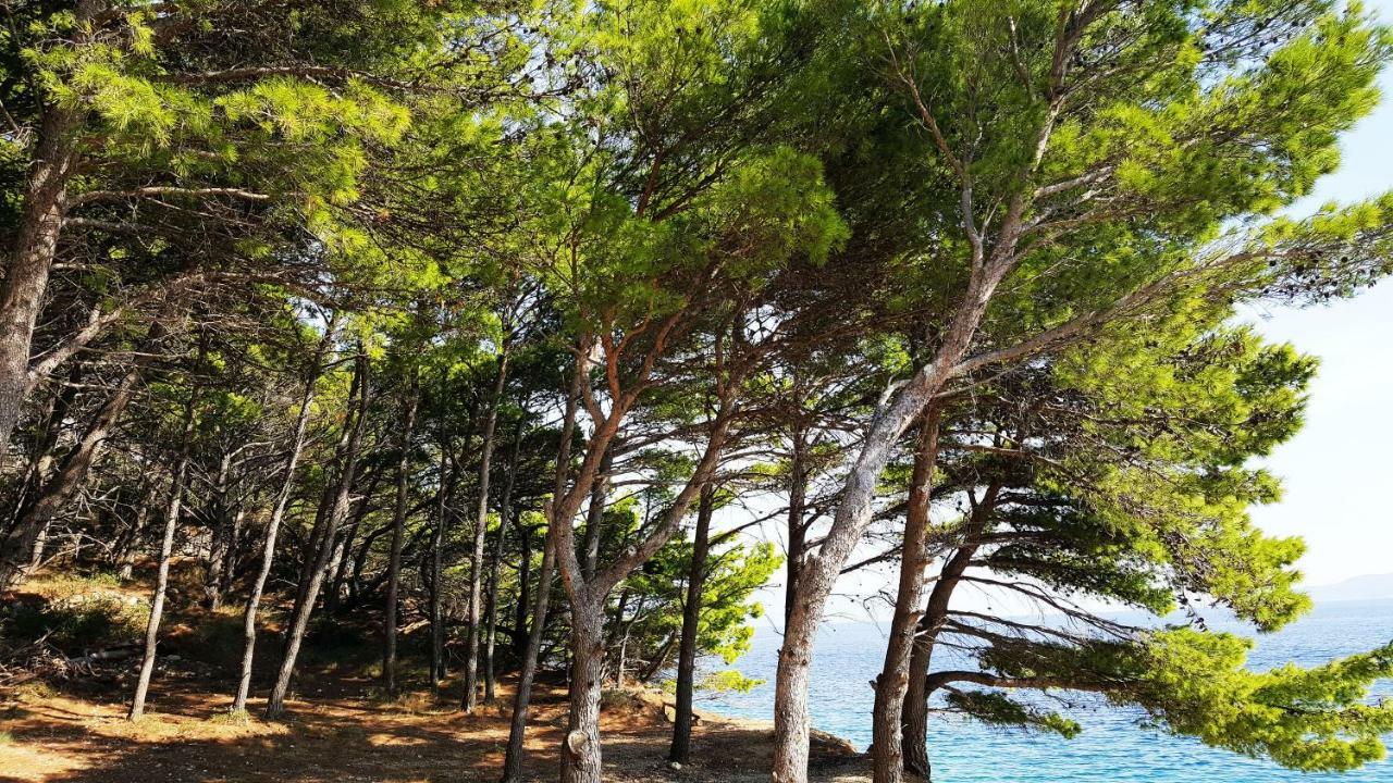 Sea Panorama Villa Mimice Εξωτερικό φωτογραφία