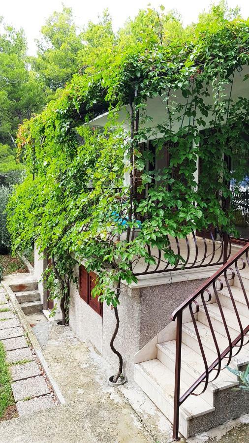 Sea Panorama Villa Mimice Εξωτερικό φωτογραφία