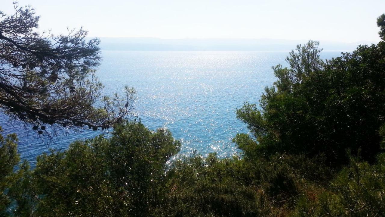 Sea Panorama Villa Mimice Εξωτερικό φωτογραφία