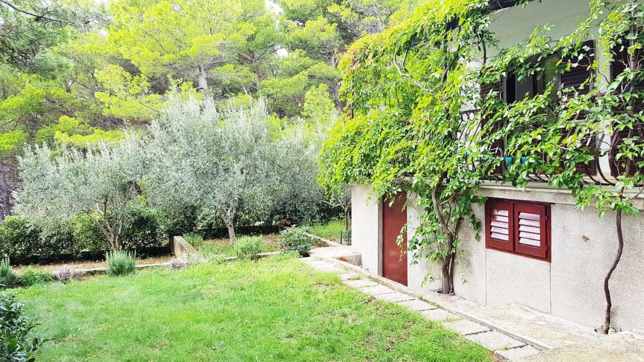 Sea Panorama Villa Mimice Εξωτερικό φωτογραφία